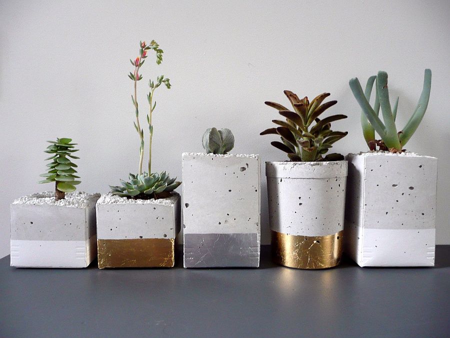 Modern concrete DIY planters with a touch of gold