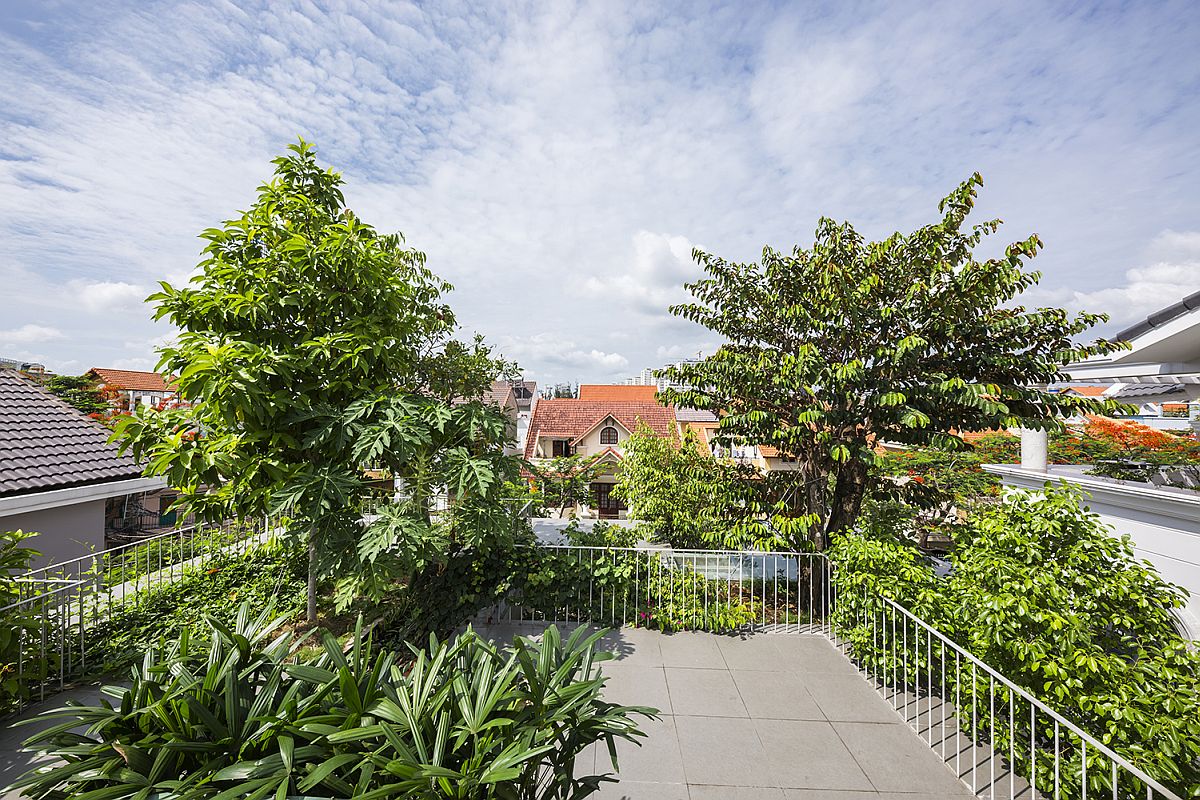 Rooftop garden of the Stacked Planters House