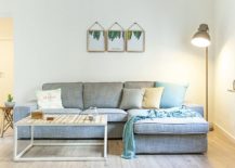 Small-beach-style-living-room-decorating-idea-217x155