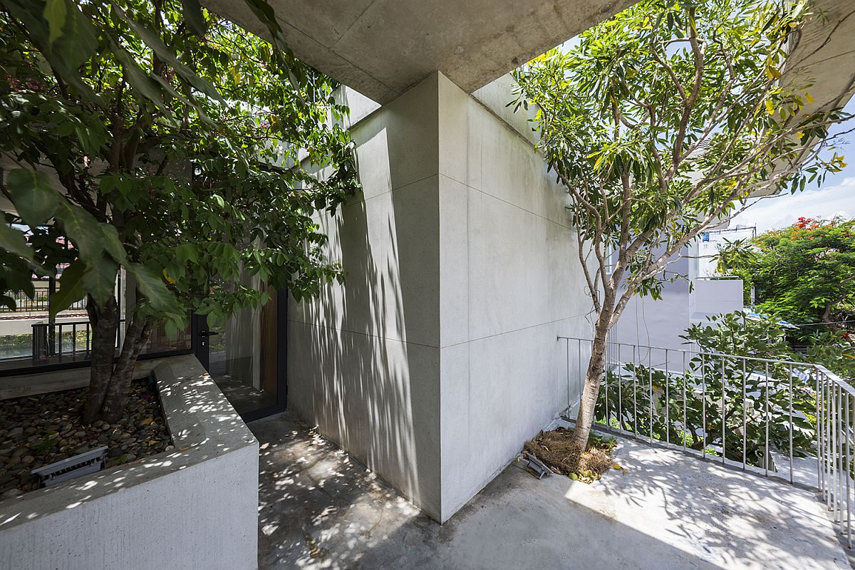 Spacious terrace of the modern home with large plants