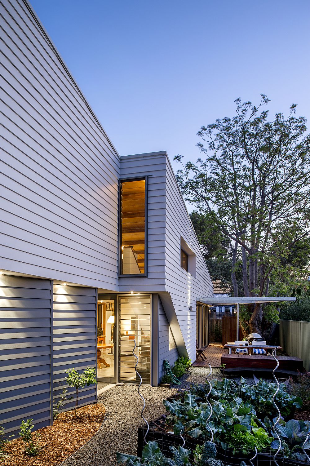 Steel and timber-framed modern home with greenery all around