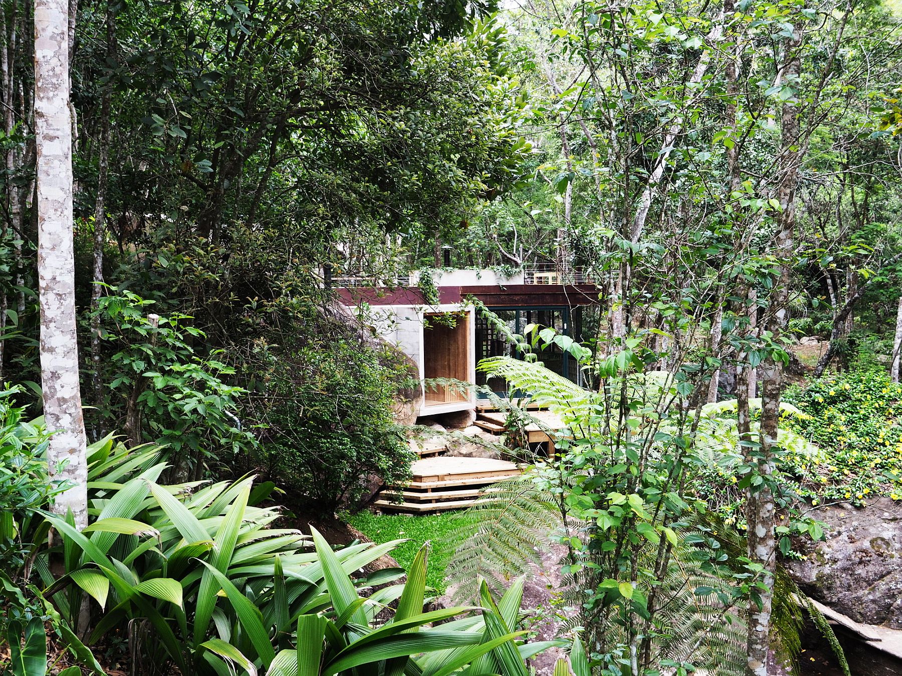 Stunning green canopy hides the gorgeous pavilion and natural pool