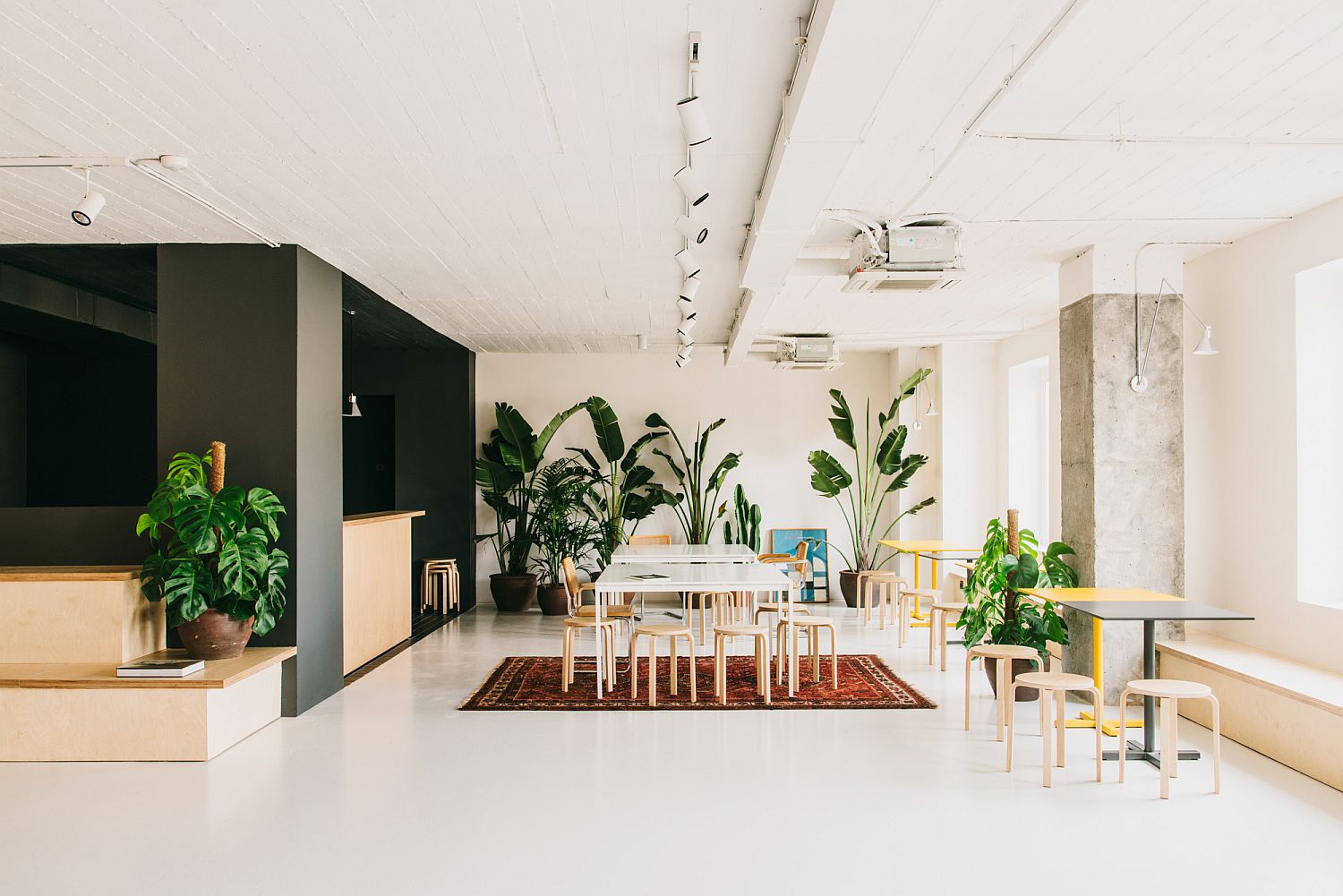 Track-lighting-in-white-blends-into-the-neutral-backdrop