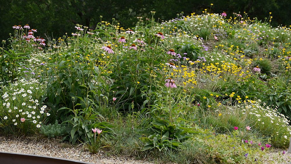 Closer look at the green roof of the poolhouse