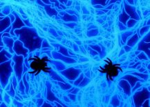 Edible-glowing-spiders-look-simply-stunning-217x155