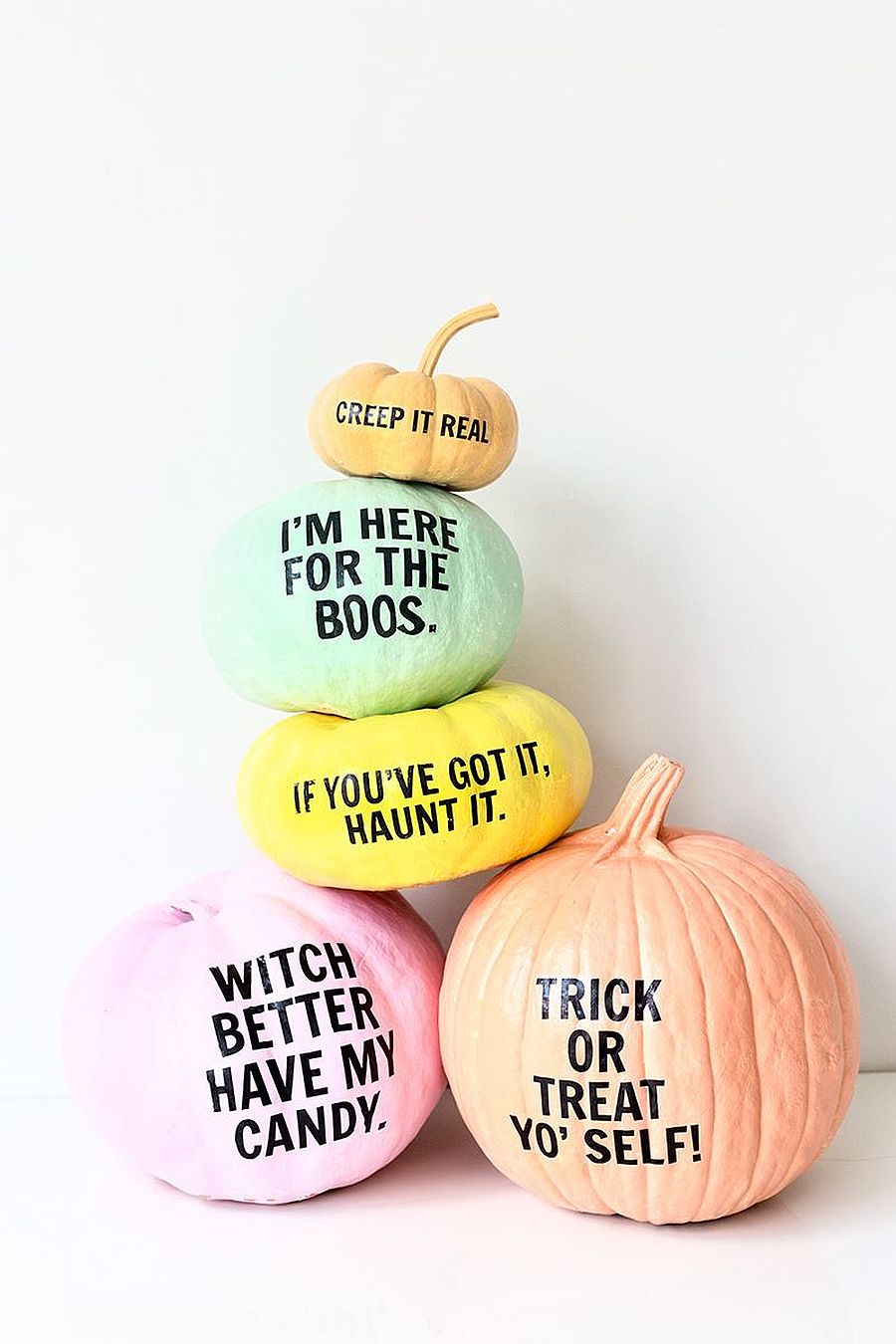 Pastel pumpkins with plenty to say!