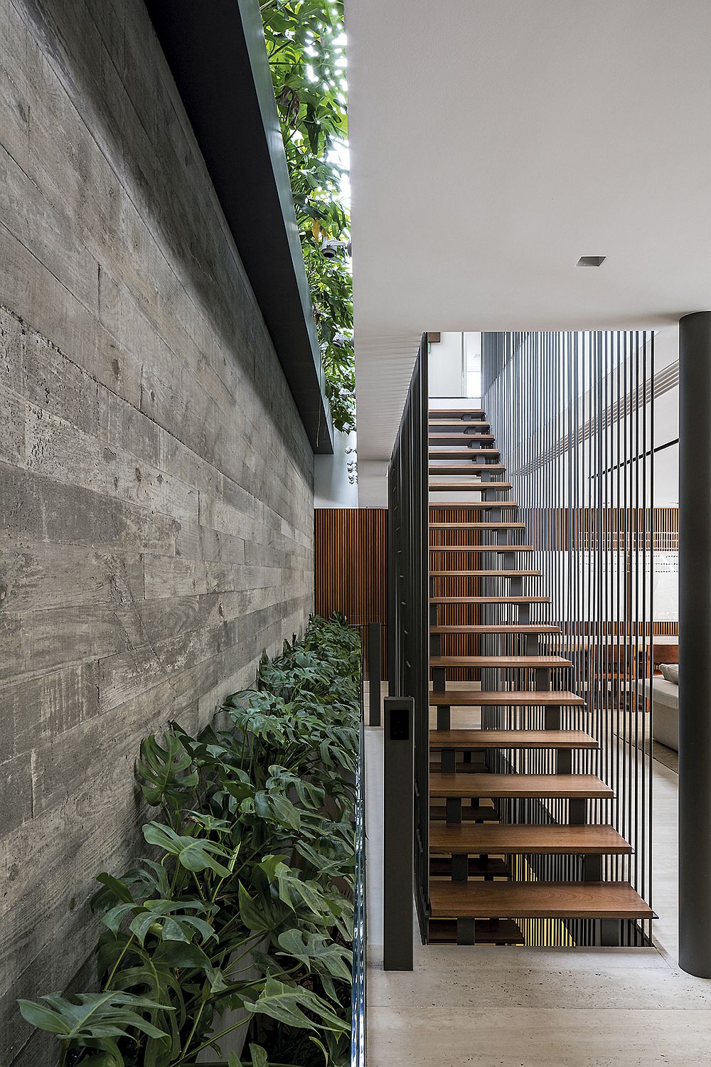 Row of indoor plants brings greenery to the living area