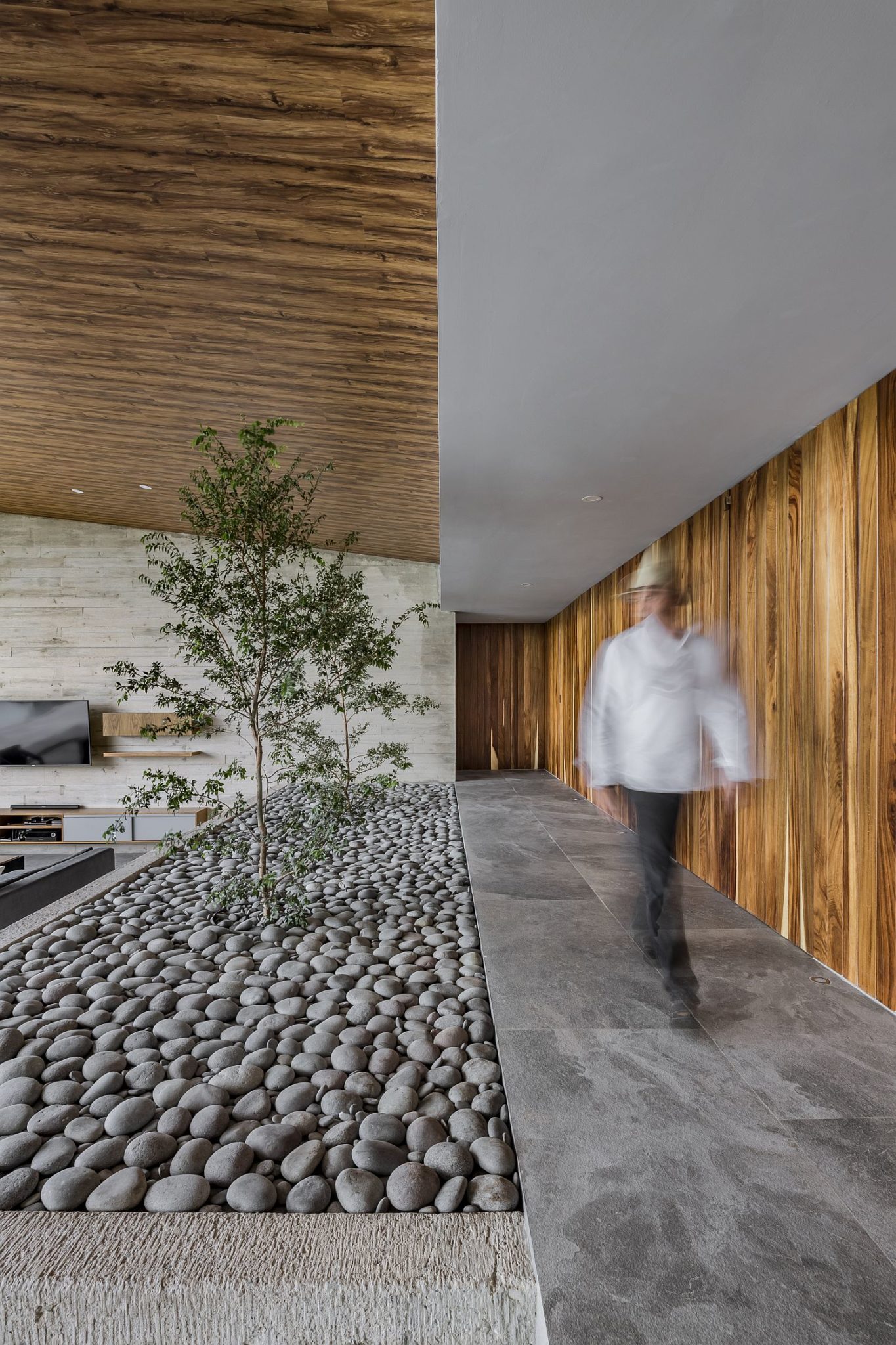 Small river rocks and a hint of greenery for the interior