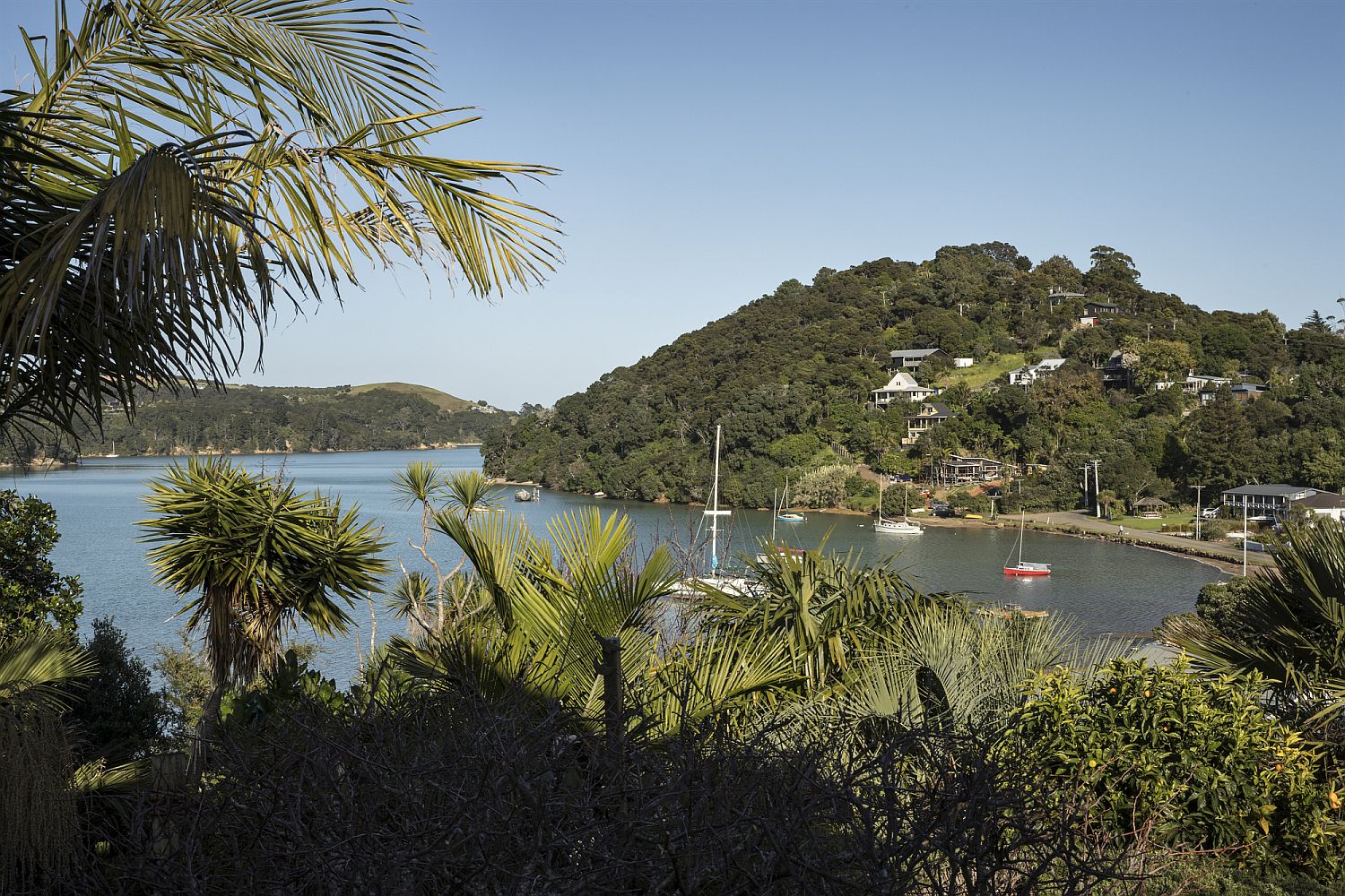 View-of-the-Anzac-Bay-from-the-house