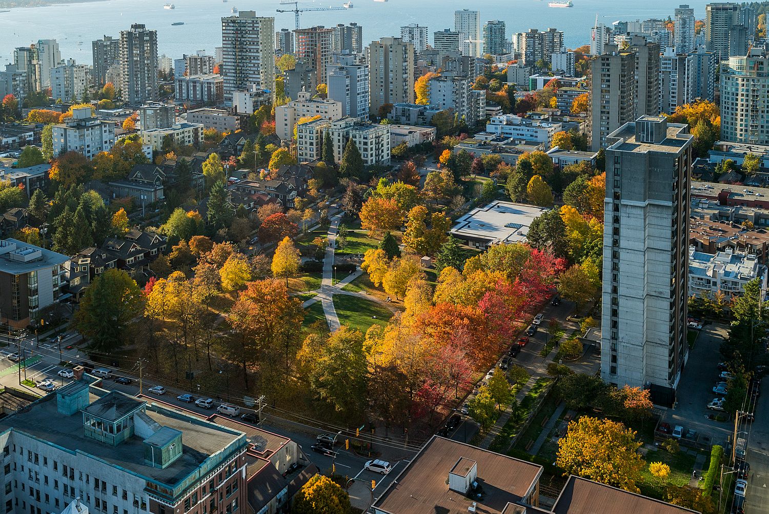 View-of-the-park-from-the-apartment-is-something-to-savor