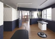 White-and-navy-blue-interior-of-the-Dog-Salon-217x155