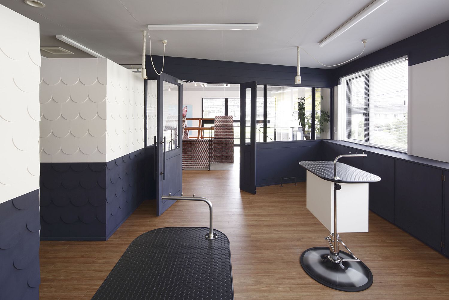 White-and-navy-blue-interior-of-the-Dog-Salon