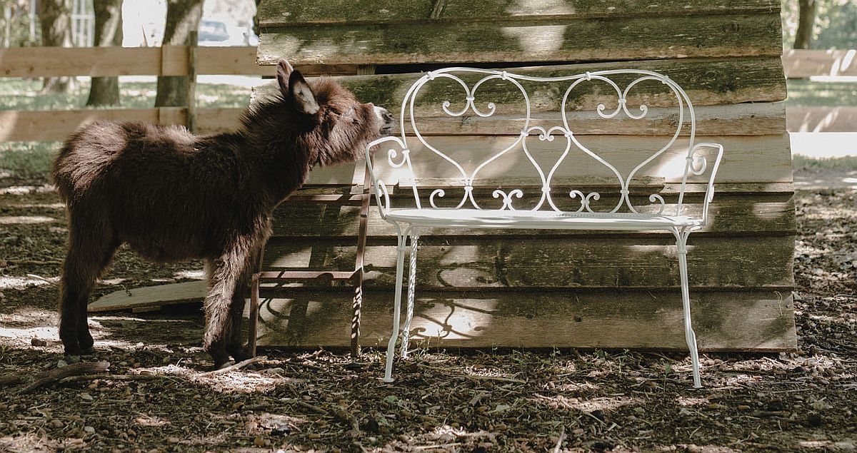 Beautiful 1900 bench fits in with a variety of outdoor decorating styles