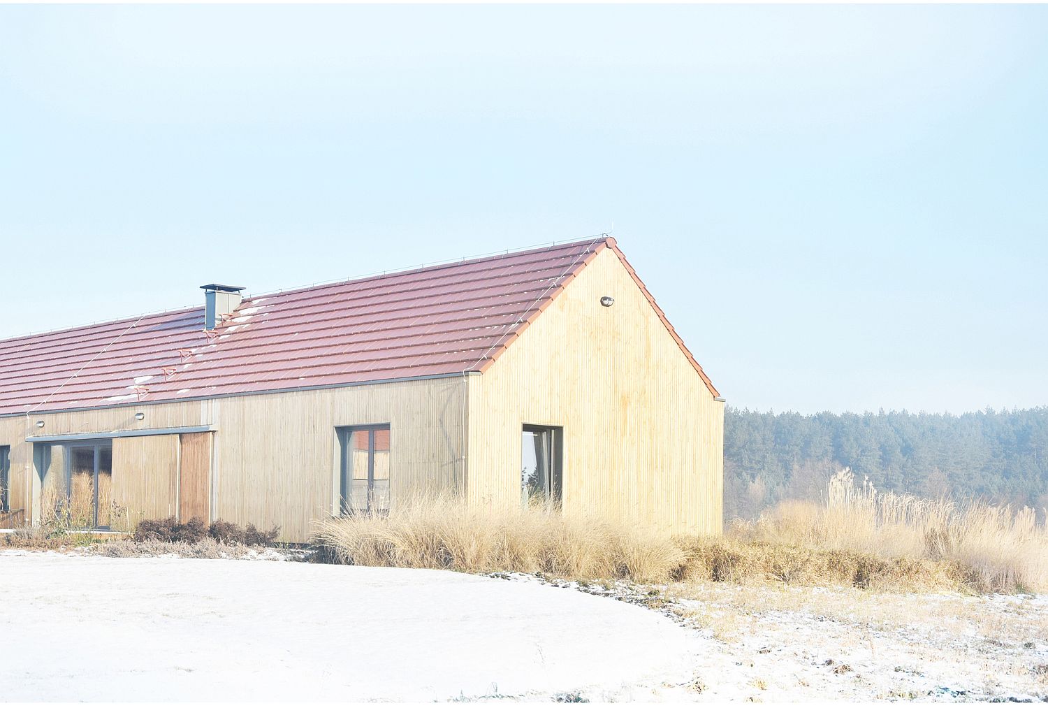 Budget home in Poland with vertically arranged pine board exterior