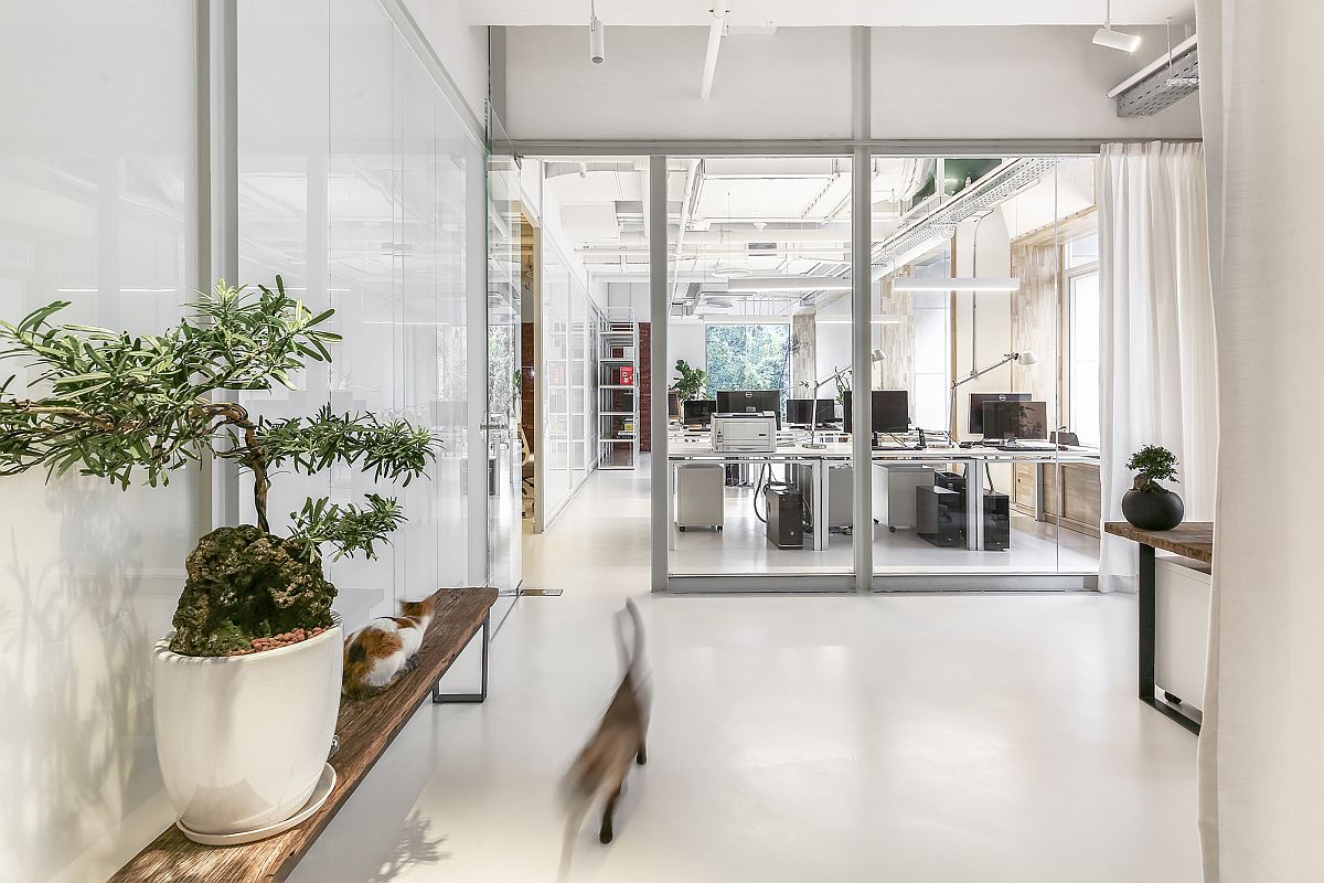 Curated office in white with large glass partitions and indoor greenery