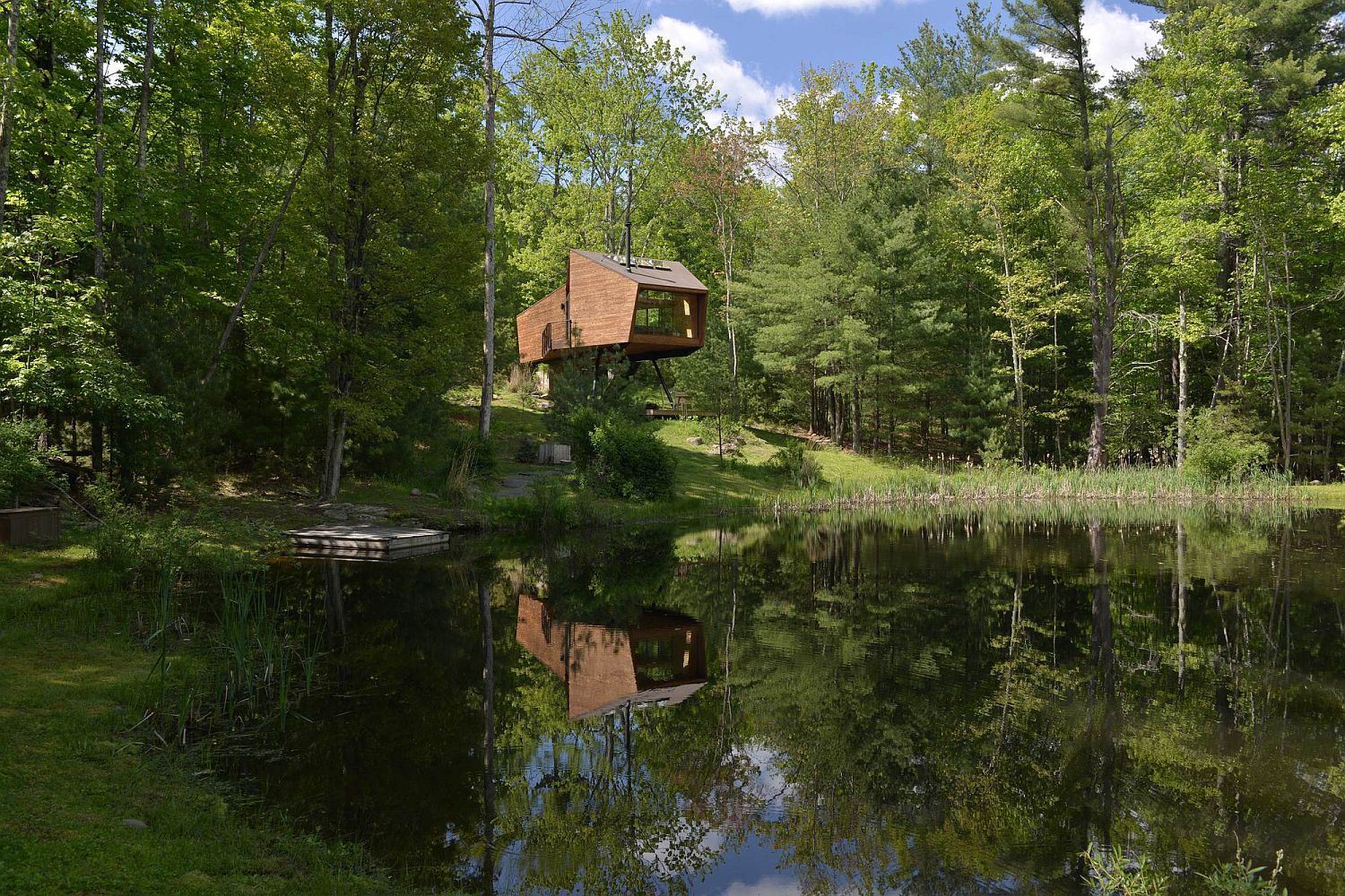 Natural pond and woods surrounding the tranquil treehouse