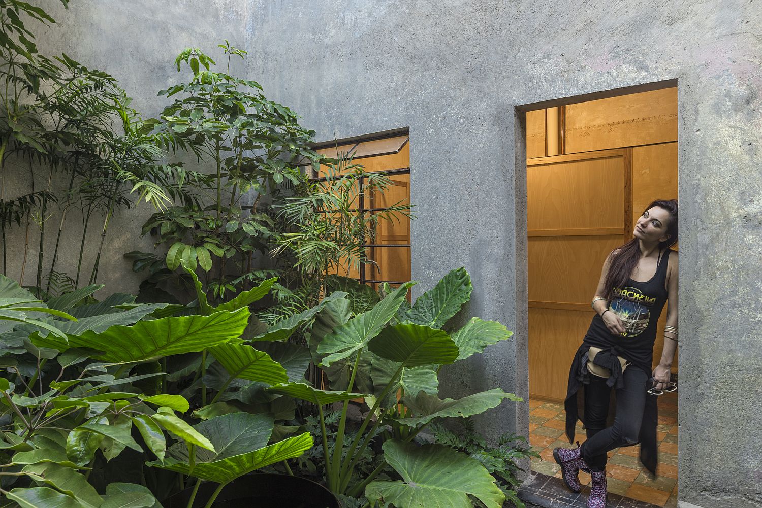 Interior courtyard of the revamped art gallery with plenty of greenery