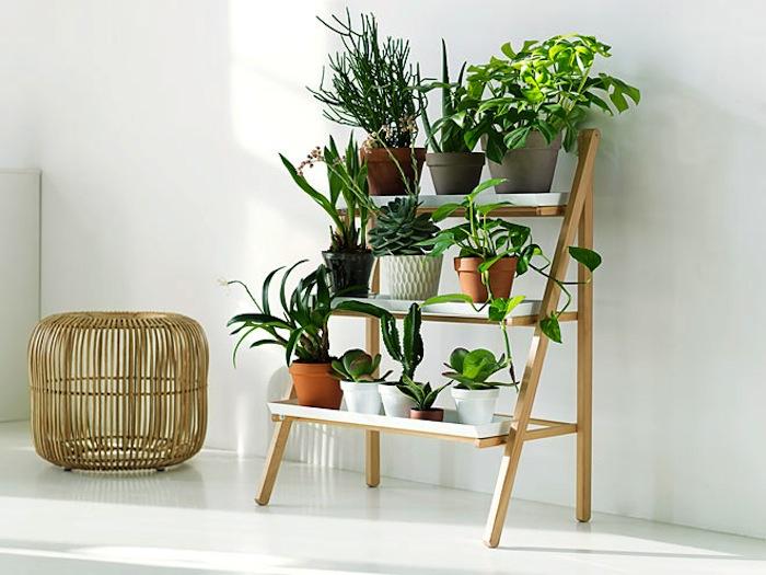 Multi-level DIY plant stand idea for a small vertical garden indoors