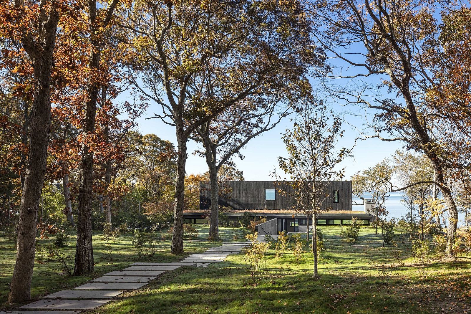 Woods surrounding the Shore House leading to lovely Bay area