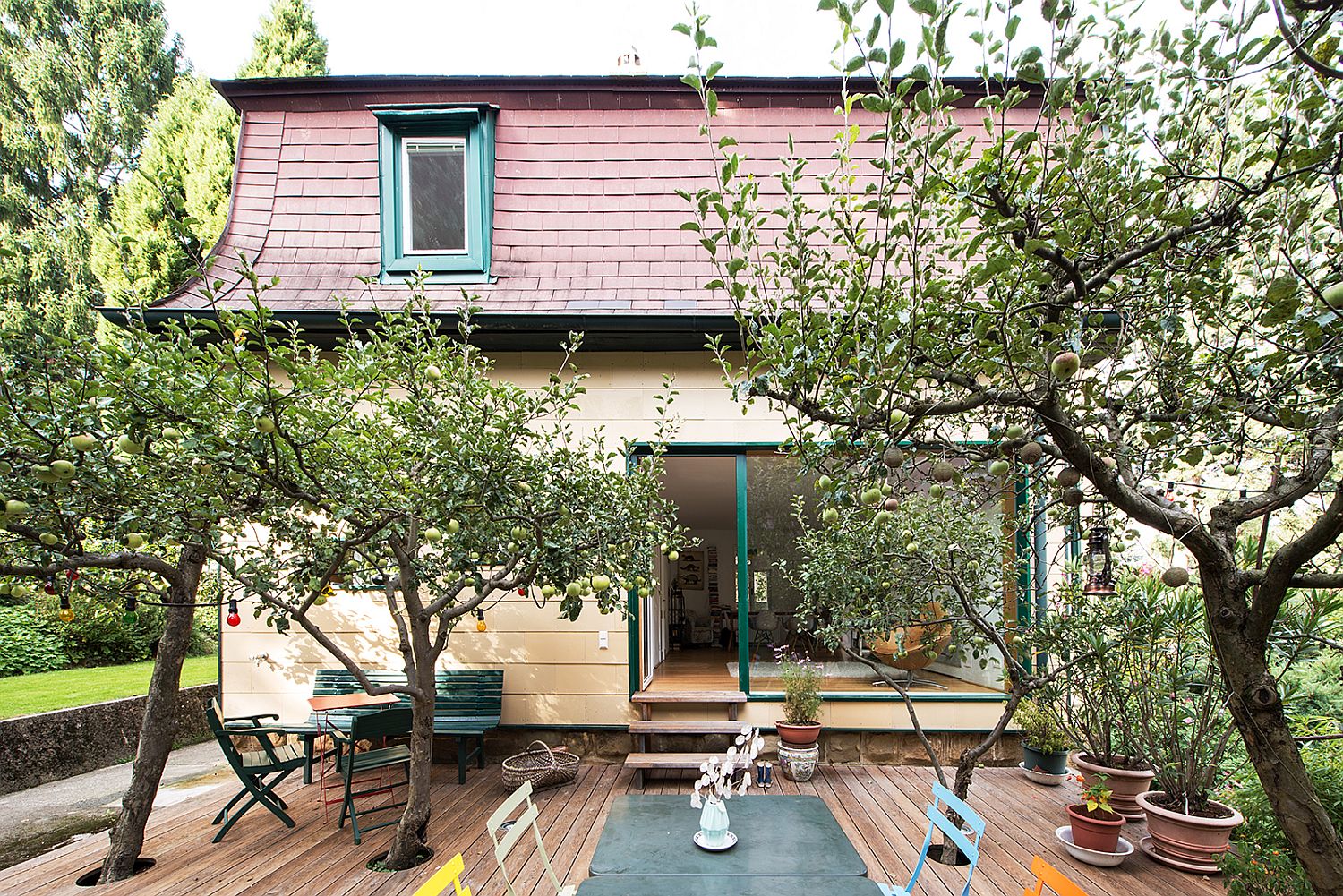 Beautiful larch deck with trees connects the revamped home with the enchanting shed