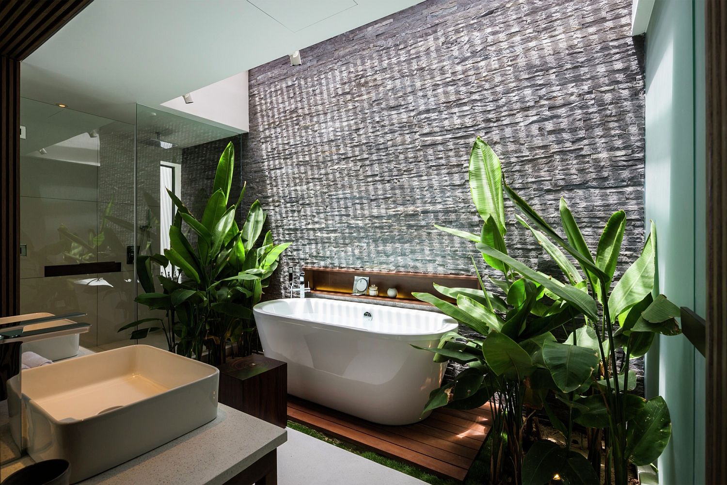 Contemporary bathroom with skylight and tropical greenery