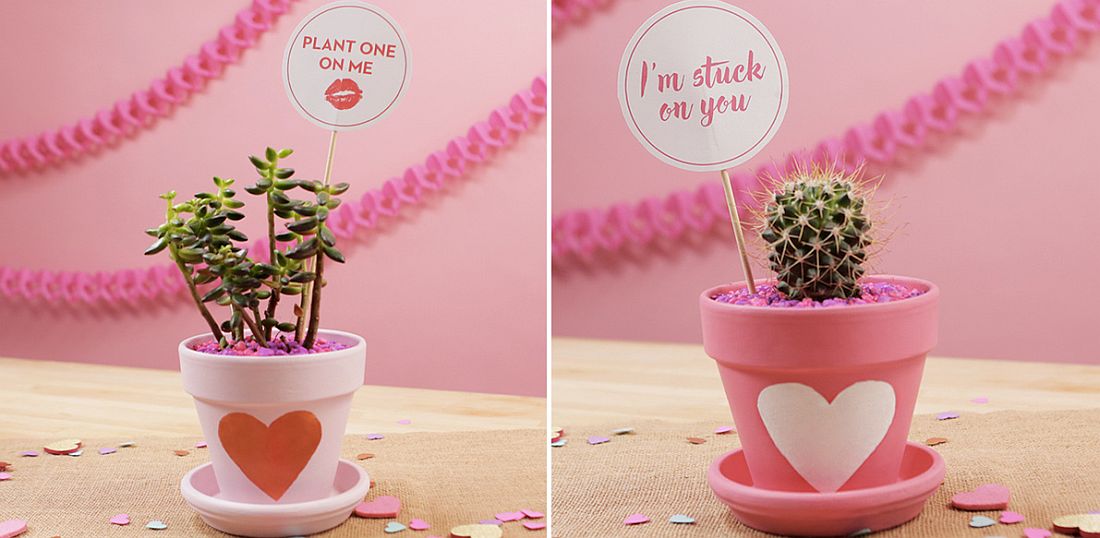 Cute and unique Valentine's Day Planters