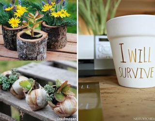 10 DIY Tiny Planters that Bring Green Goodness to Your Office