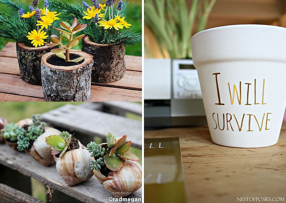 Small DIY Planters for Office