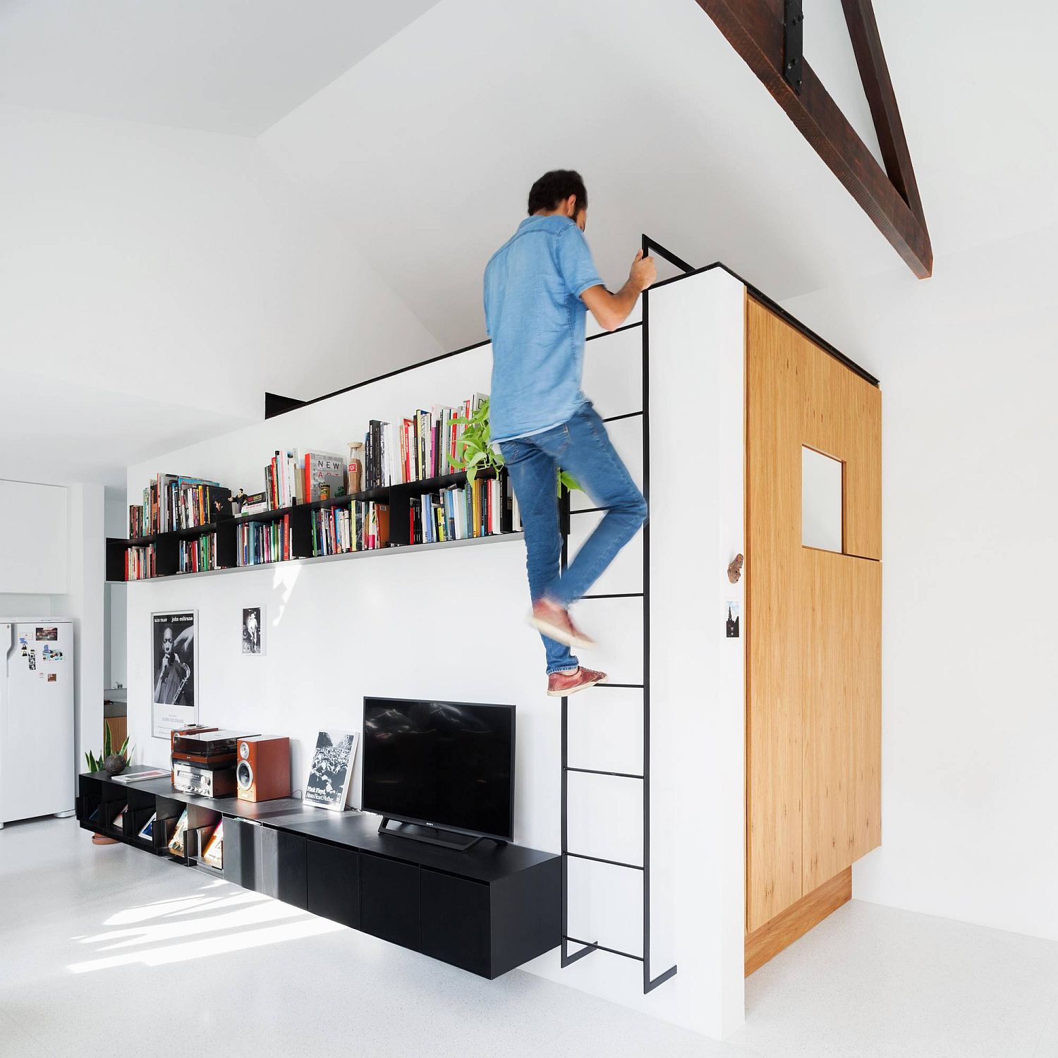 Antônio Bicudo Apartment in Sao Paulo