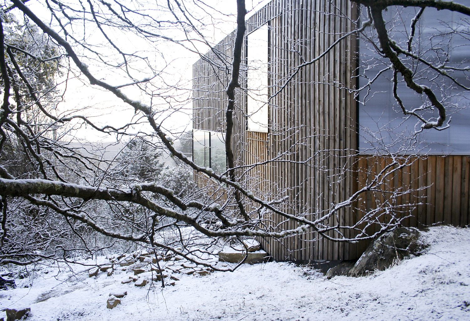 Forested landscape around the Little Big House