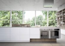 Integrating-kitchen-appliances-into-the-kitchen-island-217x155