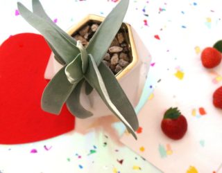 Valentine's Day Gift Ideas for the Person Who Has Everything