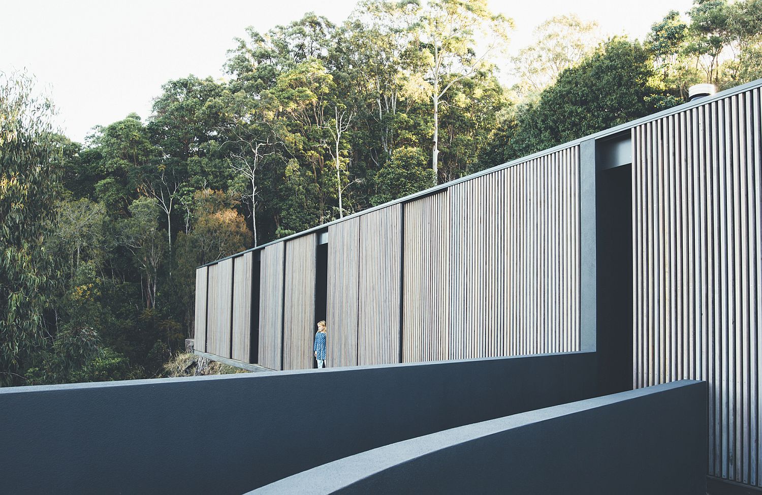 Walkway and entrances to the house accentuate its contemporary appeal