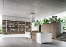 White-and-wood-kitchen-composition-217x155