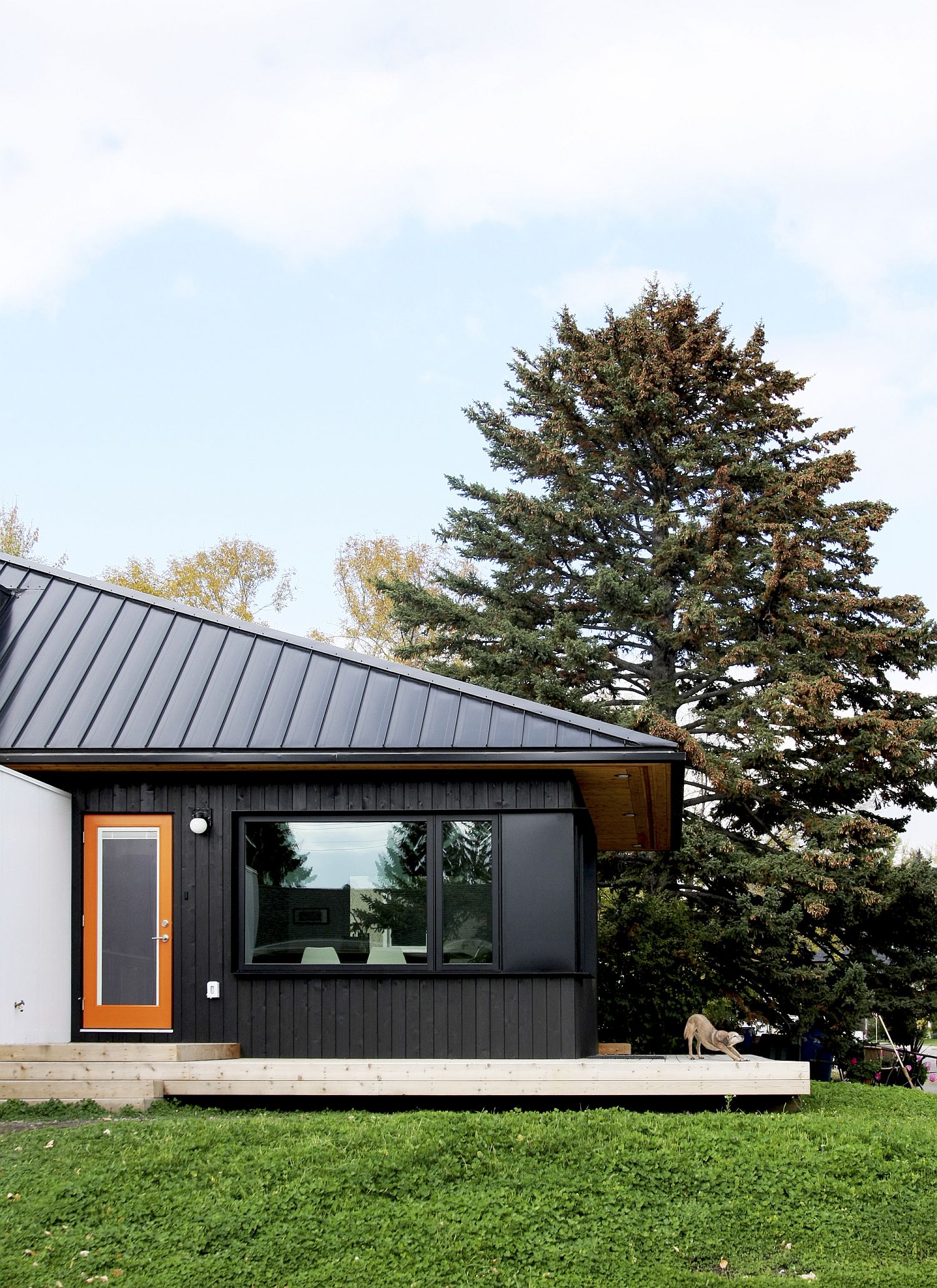 Contemporary Hillhurst Laneway House in Canada