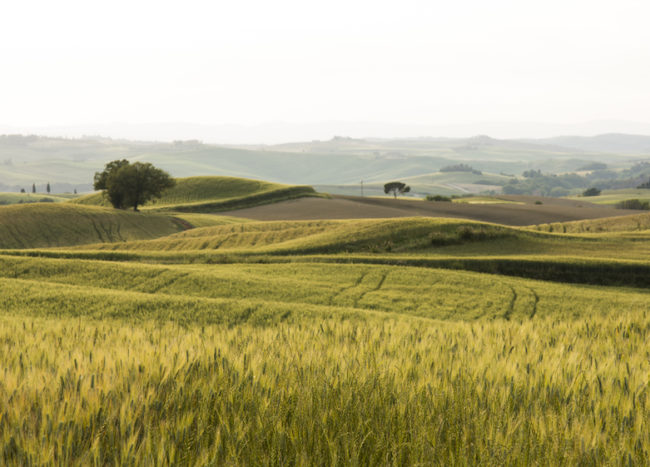 Tuscanyness Shines the Spotlight on Tuscan Architecture