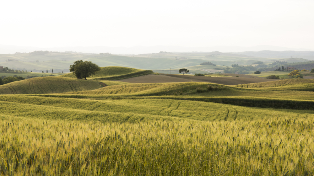 The-Tuscan-landscape