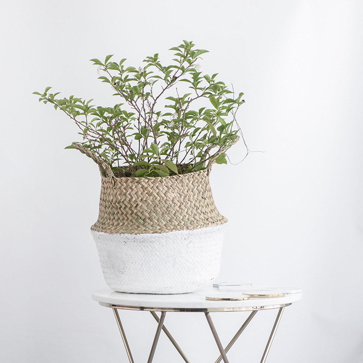 Seagrass belly basket from Newchic