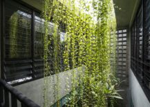 A-ventilation-well-with-plenty-of-greenery-217x155
