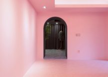 View-of-the-gray-office-room-from-the-pink-entry-217x155