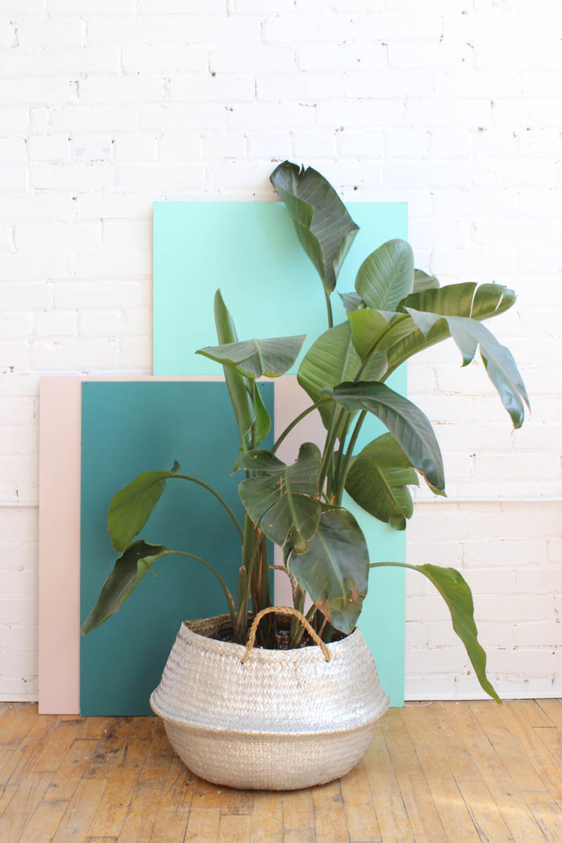 Belly-basket-for-plants