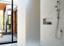Marble-and-stine-contemporary-bathroom-217x155