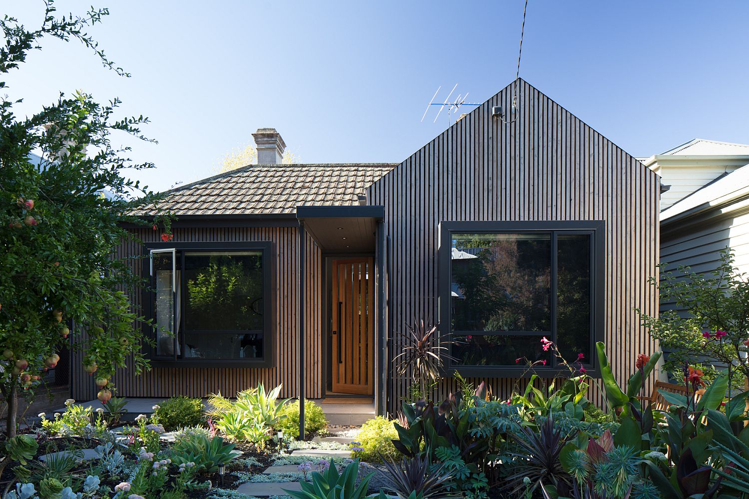 New street facade of the Victorian house with oiled Cyprus timber battening