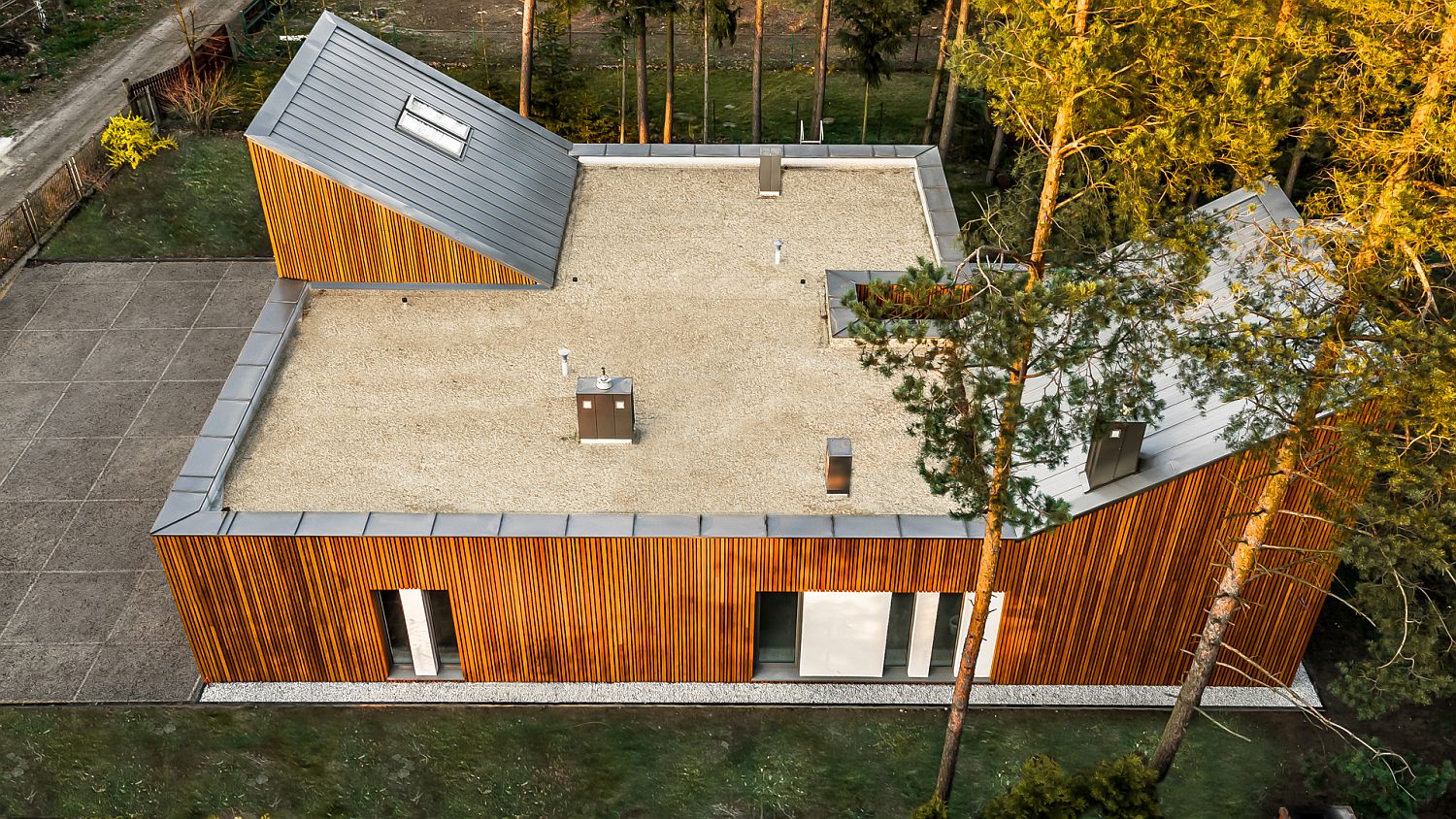 Pine forest offers natural shade to the forest house