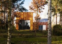 Smart-forest-house-with-wooden-cladding-and-passive-solar-heating-217x155