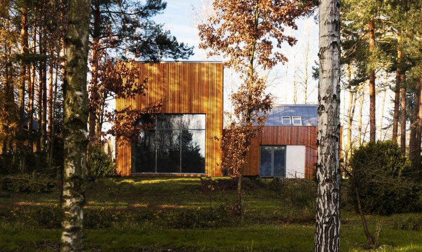 Serene Forest Retreat Draped in Wood with Ingenious Functional Form