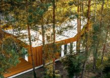 View-of-the-forest-house-from-above-217x155