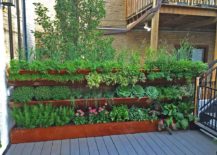 A-vertical-garden-for-the-edible-plants-is-teh-best-way-forward-in-the-urban-landscape-217x155