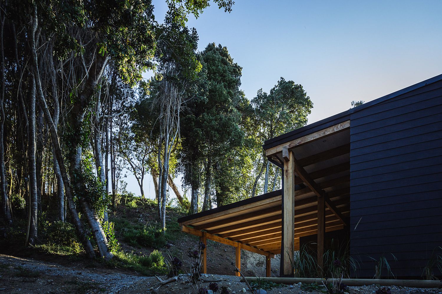 Beautiful forest around the home that sits on the banks of Lake Llanquihue