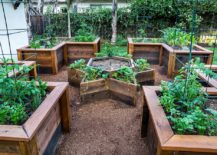 Creating-the-perfect-space-for-the-raised-bed-vegetable-garden-217x155